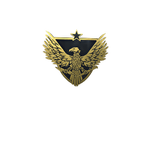 Значки кейс — превʼю кейса
